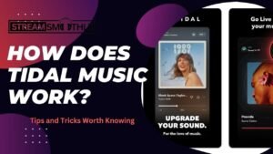 How Does Tidal Music Work