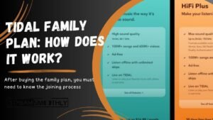 Tidal Family Plan