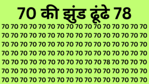 optical illusion: चील की नजर वाले ही कम समय में देख पाएंगे 70 की झुंड में छिप कर बैठा 78 अंक