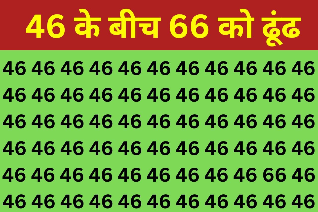 Optical Illusion: चील जैसी तेज़ नजर वाले भी 46 के बीच में छिपे 66 को ढूंढने में हुए फेल, अगर आपमें हैं दम तो ढूंढ निकालिये इसका हल