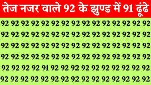 Brain Test Image: बाज जैसी तेज नजर वाले सिर्फ 6 सेकंड में 92 की भीड़ 91 नंबर ढूंढे, बड़े बड़े सुरमा हुए फ़ैल