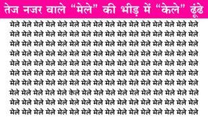 Mind Test Image: हलके दिमाग वाले कौशिश न करे, तेज खोपड़ी वाले 5 सेकंड में मेले के झुण्ड में केले शब्द ढूंढे!